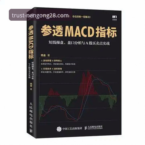 揭秘：南宫28官网如何下载iOS版背后的真实体验与完整指南